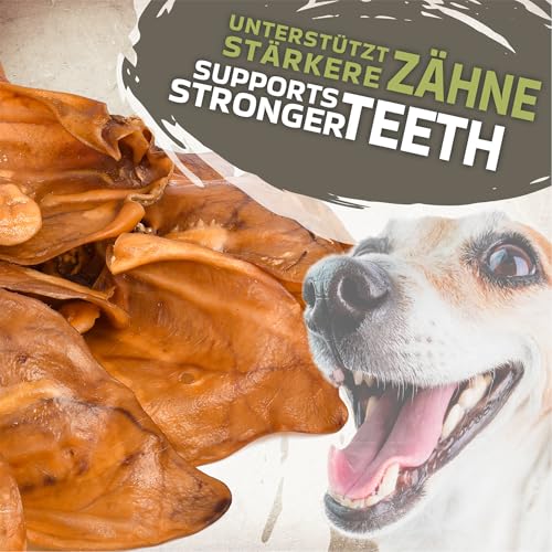 Schweineohren für Hunde 20 Stück Größe L 1kg | Ganze getrocknete Schweineohren Kauartikel | 100% natürlich | Langanhaltender Kauspaß | Getreidefrei | Ideal für kleine & große Hunde
