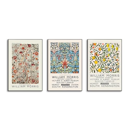 �A�[�g�p�l�� �E�B���A�������X�L�����o�X�v�����g���B���e�[�W���k�މʕ��W����|�X�^�[���g���A�[�g�p�l���G��C���e���A�ԕǃA�[�g�p�l���ʐ^���r���O�������� �A���~�����g���̊����i (50*70cm*3���i20*28in*3pcs�j,A)