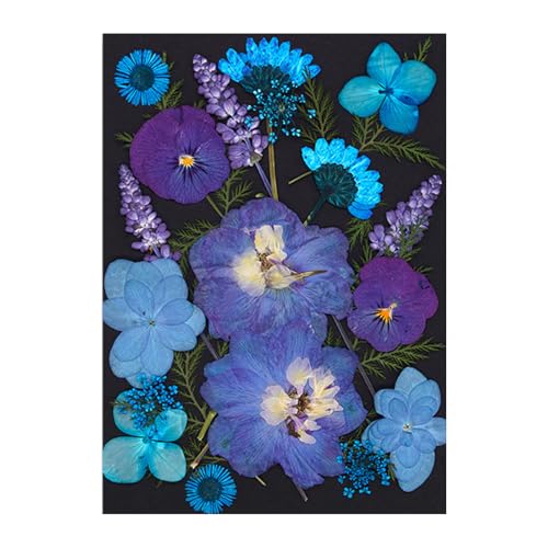 ^̂߂̃vXhCt[XNbvubLOpΌWG[邽߂̓VR̃vXt