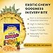 Philippine Brand Dried Pineapple Chunks 3.5 oz Bag – Sweet & Chewy Dehydrated Fruit Snacks, Tropical Dried Fruit Slices, Vegan, Gluten-Free Snack, Great Source of Fiber & Antioxidants