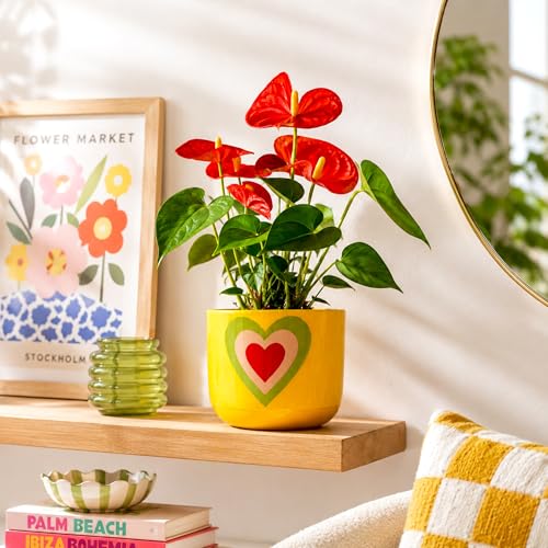 Image of Urban Plant Heart Bloom Handcrafted Terracotta Planter | Colourful Indoor Clay Pot for Living Room | Artisan Decorative Flower Pot for Plant Lovers | Drainage Hole | 4.5 Inch