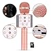 GOCTOS Karaoke Bluetooth Wireless Microphone 3 in 1 Portable Handheld Mic Speaker Machine for Company Meeting Family Kids Party - Compatible iPhone, Android, iPad, PC and All Smartphones (Rose Gold)