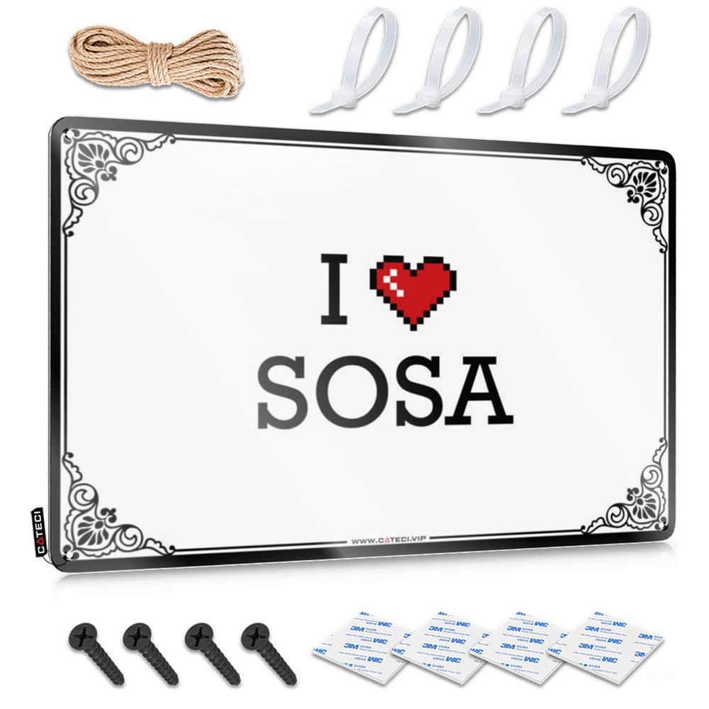 Farmhouse Signs Haves Funny I Love Sosa For Saloon - Pool Decorations Outdoor Customizable(20X30CM)