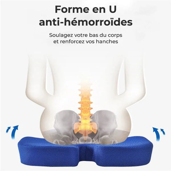 Coussin Orthopédique d'Assise Cellsius(1x Coussin Noir)