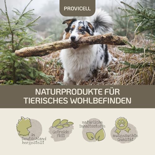 Provicell EM Vital Hund 250 ml – Premium Probiotika für Hunde flüssig - Unterstützung der Darmflora für Hunde – Fermentierte Pflanzenstoffe mit Mikroorganismen – Ohne Zusatzstoffe - Made in Germany
