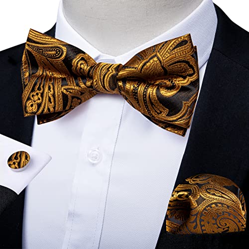 Image of DiBanGu Paisley Pre-Tied Bow Ties for Men Silk Adjustable Bowtie and Pocket Square Cufflinks for Wedding Party