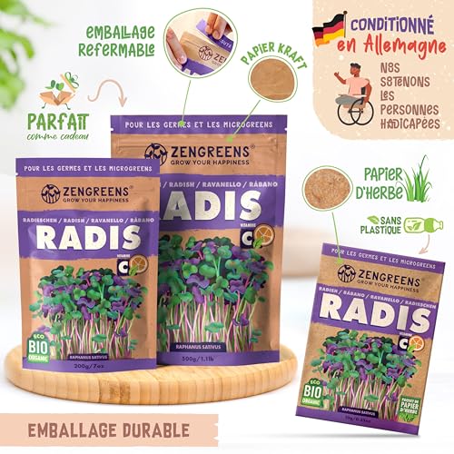 Graines de radis