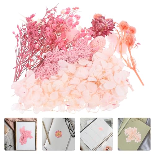 Flores secas prensadas para manualidades y decoración miniatura 5