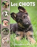  Les chiots