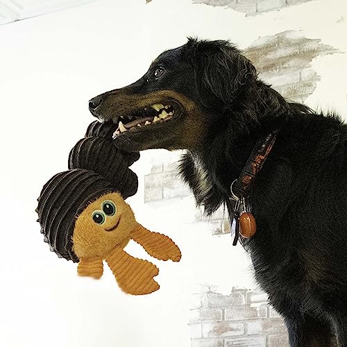 KONG Cuteseas Rufflez Hundespielzeug, weich, geriffelt, aus Plüsch (Einsiedlerkrebse)