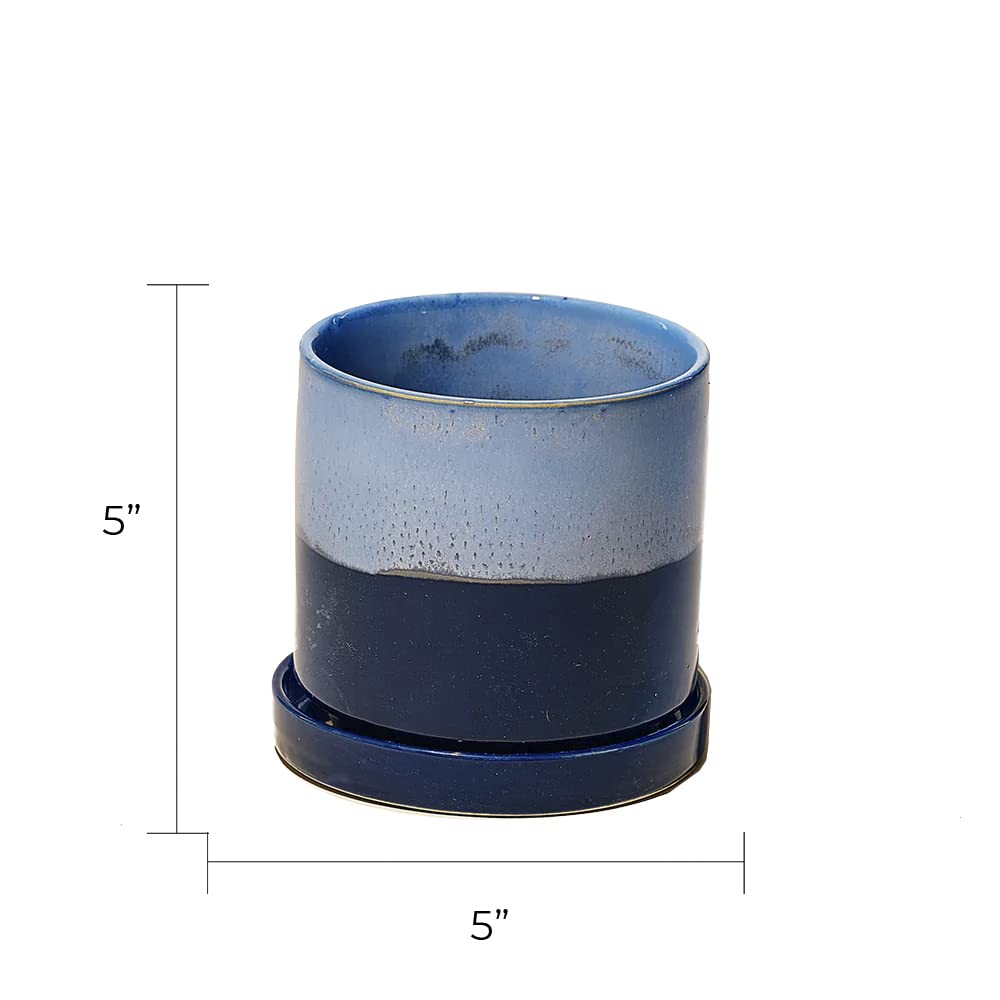 Jive � Minuto, suculento, cactus y platillo de cer�mica para flores y plantas con agujero de drenaje y platillo desmontable, ideal para decoraci�n de interiores y exteriores