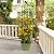 Trellume Garden Obelisk Trellis for Climbing Plants Outdoor - 69"(H), Rustproof Trellis with Adjustable Rings, Metal Plant Support for Potted Vines, Garden Trellis Use for Outdoor or Indoor(2 Pack)