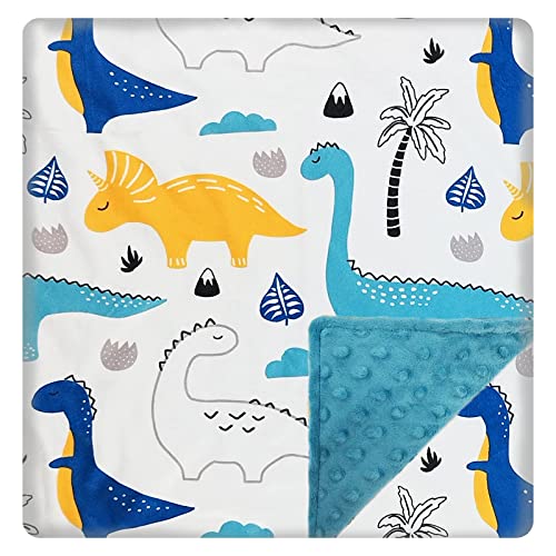 Baby Blanket For Boys Girls (Dinosaursprinted, 30"X40") With Double Layer Dotted Backing Soft Plush Minky Blanket For Toddlers Newborn #TOP12