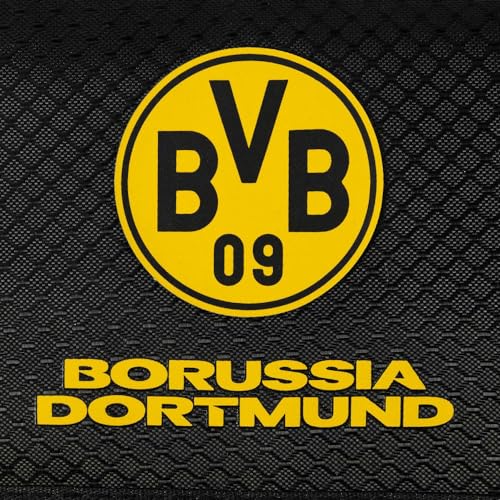 Borussia Dortmund Geldbörse - Netz - schwarzgelb Portemonnaie Geldbeutel BVB 09