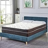 Nutan, 12-Inch Euro Top Firm Foam Encased Mattress/Orthopedic Support for A Restful Night, Queen