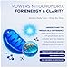 Methylene Blue – Pharmaceutical Grade Cognitive and Cellular Support – Third-Party Verified Brain Health Dietary Supplement for Humans – 30ml Dropper Bottle