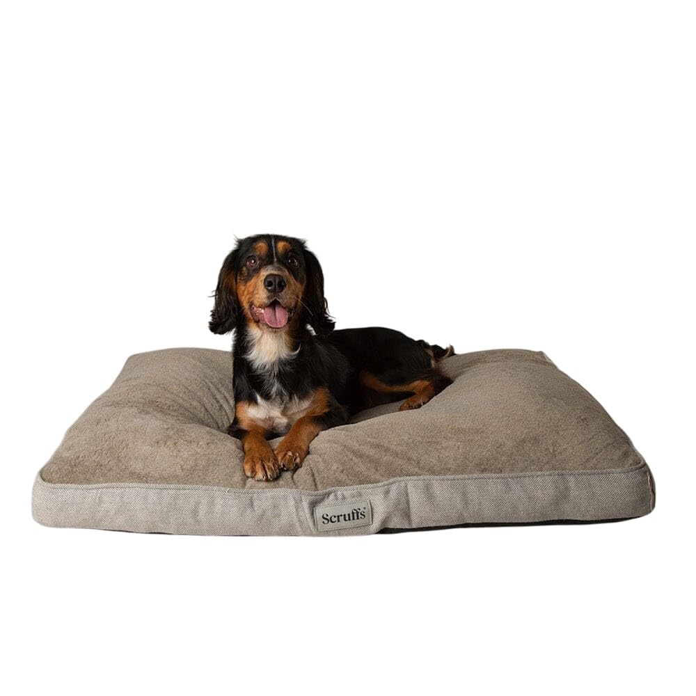 Scruffs Harvard Memory Foam Orthopaedic Dog Mattress for Dogs with Joint Pains (L)