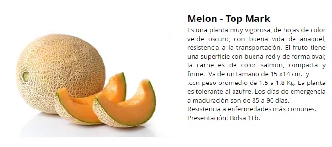 Encuentra reviews de Semillas cyca revoluta - los mas comprados. 17 Imagen adicional