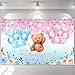 Avezano We Can Bearly Wait to See Banner He or She Gender Reveal Party Supplies Pink and Blue Baby Reveal Party Decorations Bear Theme Backdrop Photo Booth Background 70.8 x 43.3 Inch