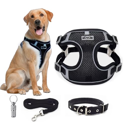PXBSNB Harnais Chien avec Laisse, Anti Traction pour Petite et Moyenne Taille, Harnais Chiens Respirant et Bande Réfléchissante, Réglable Petit Chien Collier,M
