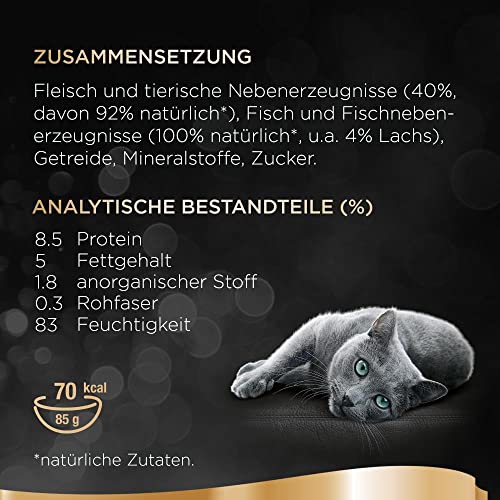 Sheba Sauce Lover – Feine Lachshäppchen (MSC) mit Sauce für ausgewachsene Katzen – 22 x 85g Katzennahrung in der Schale