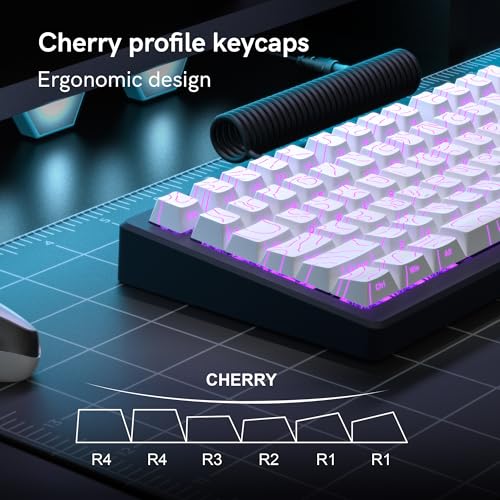 Image of dagaladoo White Topographic keycaps Line Backlit keycaps Shine Through Keyboard Keys Side Printed Key caps Cherry Profile keycap Set for 61 /64 /66 /68 /71 /75 /84 /87 Mechanical Keyboards 98key