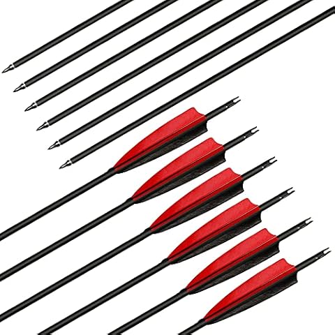 Deweey 12pcs Hunting Arrows 31" Carbon Arrows with 3" Feathers Targeting Arrows with Replacement Screw-In Broadheads Archery Arrows for Recurve Bow Longbow and Traditional Bow Cover