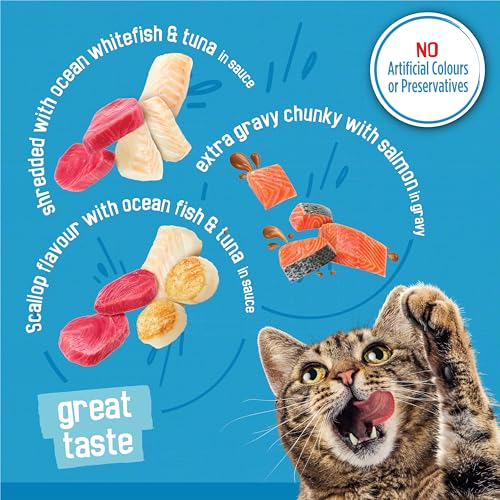 Friskies Saucy Seafood Wet Cat Food, Variety Pack 3 Flavours - 156 g Can (24 Pack) image 5