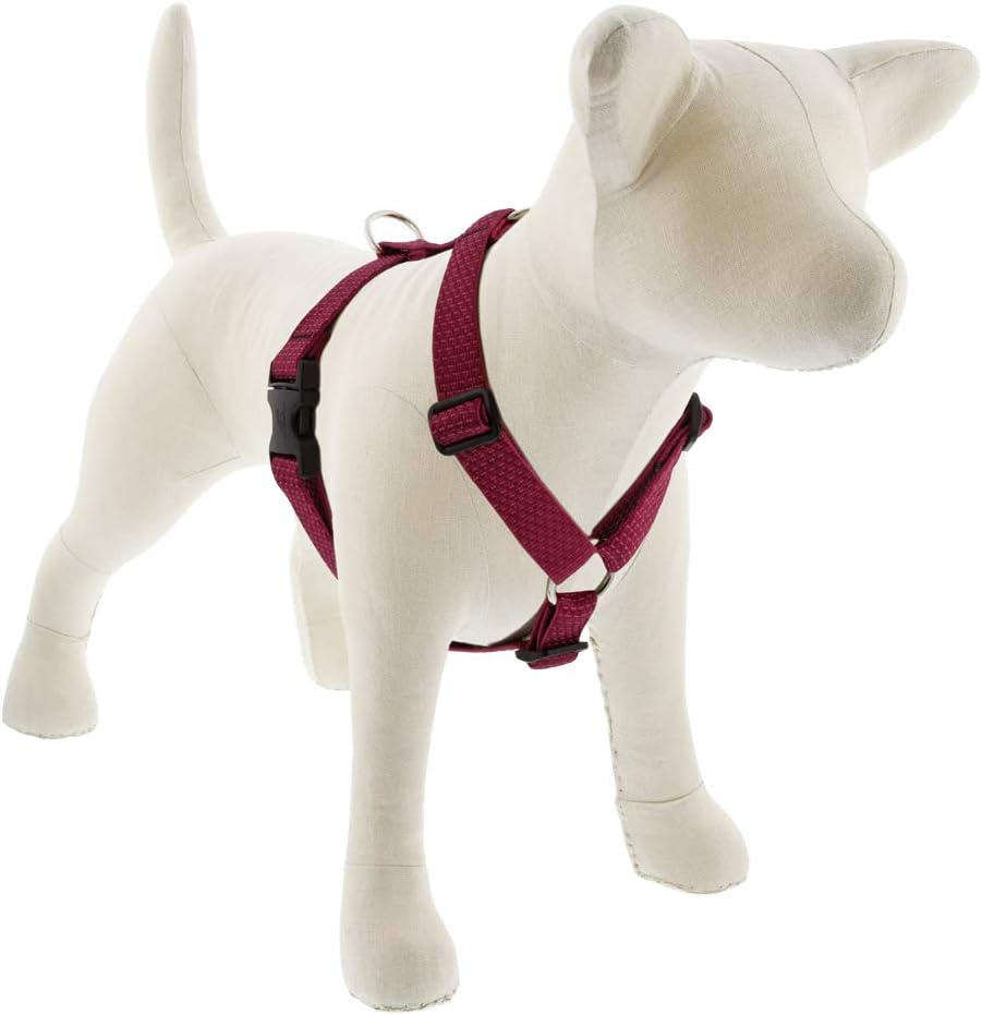 Adjustable Dog Harness by Lupine ECO Collection 1" Wide Berry with 20-32" Girth