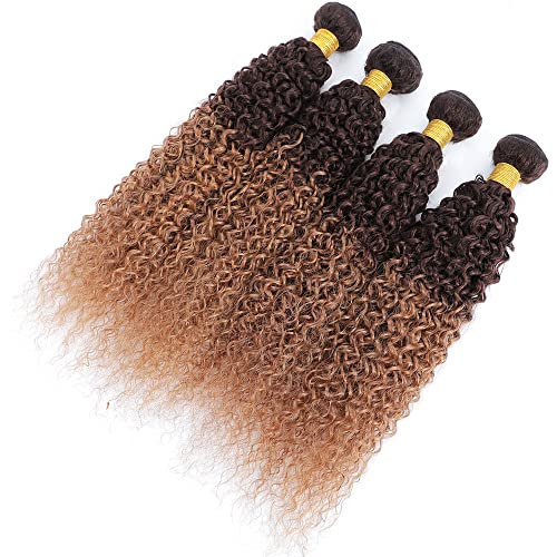 2 Tone Ombre Brazilian Curly Hair 4 Bundles Brazilian Remy Virgin Human Hair Weave Bundles 100% Unprocessed Kinky Curly Human Hair Extensions T4/30 Medium Brown/Medium Auburn(22 24 26 28)