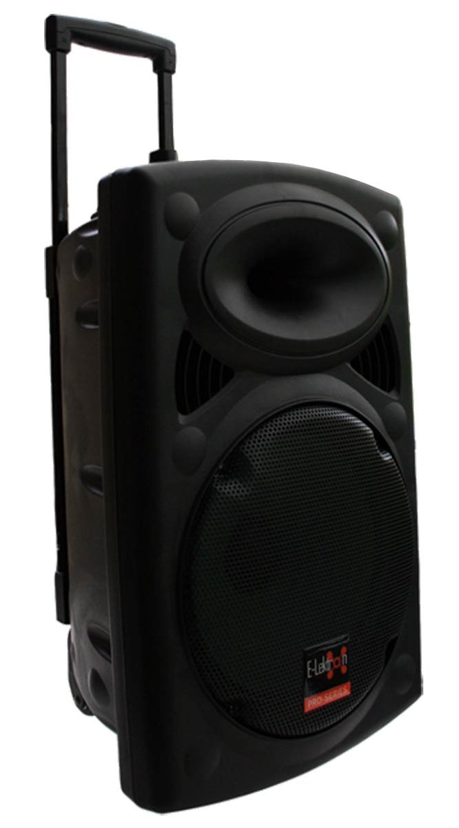 Wireless Microphone Portable Speaker 
