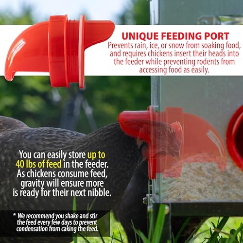 Automatic Chicken Feeder - 40 lb Capacity 6 Port Large Metal Chicken Feeders - No Waste Poultry Feeder with Locking Lid and Legs for Inside Chicken Coops