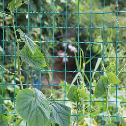 yurstcggh  tFX Aj}tFX hbO  u bV̌̃TCY6cm ȒP hblbg ؓoAp 1m/1.2m1.5m/1.8m  S lbg{xZbg A؉A_AA _ƁAHł̎gp