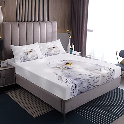 Feelyou Bald Eagle Fitted Sheet Owl Bedding Set 3D Bird Animal Bed Sheet Set For Boys Girls Children Teens Bedroom Decor Snowy Owl Decor Bed Cover No Flat Sheet Queen Size With 2 Pillow Case #TOP24