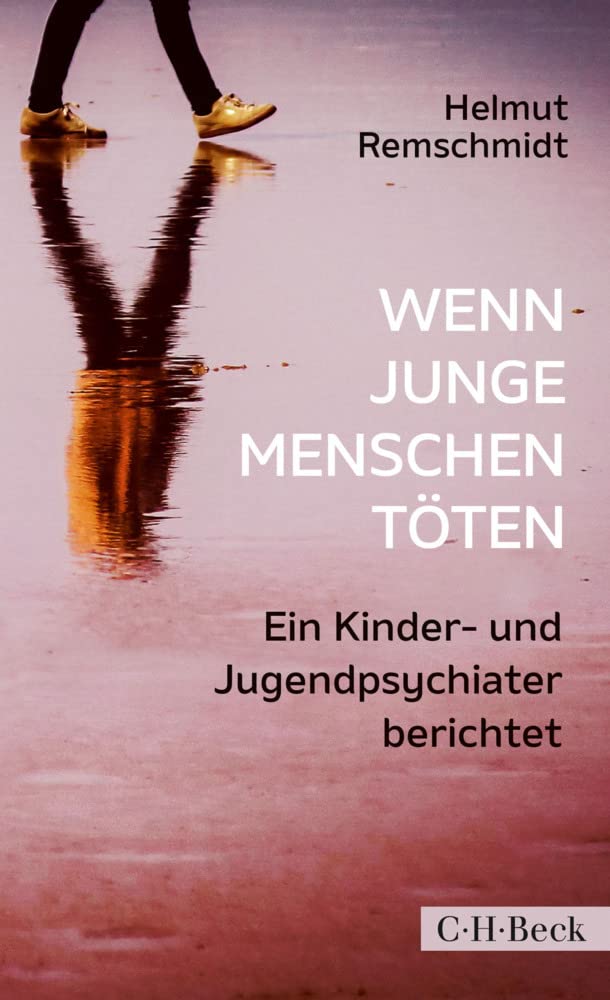 Wenn junge Menschen töten: Ein Kinder- und Jugendpsychiater berichtet (Beck Paperback)