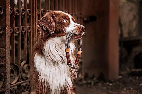 Michur Monaco Grau, Hundehalsband Hellgrau Verstärkung und Tau, Rund mit Polyamidkern, hundehalsband Nylon geflochten, Halsband für Hunde