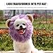 BESPORTBLE 1pc Lion Hat for Cats and Dogs Halloween Decorative Headwear Lovely Pet Costume Accessory for Parties and Celebrations Lion Hat