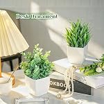 Der Rose 2 Emballages Petites Plantes Faux Mini Plantes artificielles en pot pour Bureau de table Maison Salle de bain Bureau Décor Intérieur