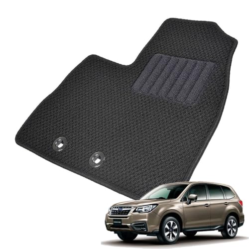 Kemmel Xo tHX^[ SJn 24N11`30N7 p tA}bg J[}bg hn/ubN itĝ/hJSȂj