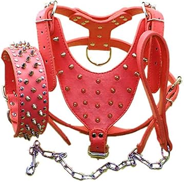 Leather Spiked Dog Harness and Collar Set - Suitable for Large Breeds Bull Terriers, Dobermans - Durable Leather Harness with Metal Studs and Matching Collar Leash M, Studs Red