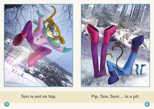 Phonic Books Dandelion Readers Set 3 Units 1-10 Sit on It (Alphabet Code Blending 4 and 5 Sound Words): Decodable Books for Beginner Readers Alphabet ... Sound Words (Phonic Books Beginner Decodable) - Image 3