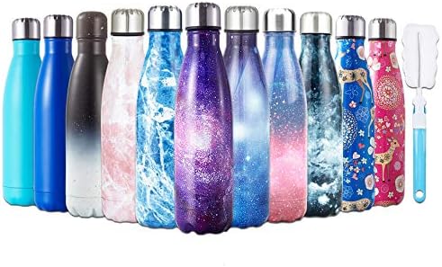 HGDGears Water Bottle 17oz/500ml, Double Wall Vacuum Stainless Steel Insulated Travel Mug Leakproof Sports Drinks Bottle with Brush