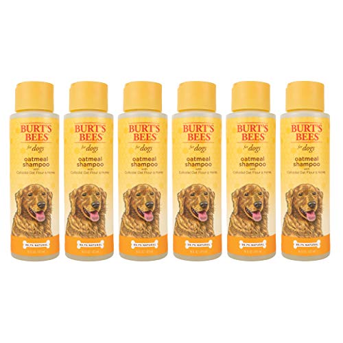 Burt's Bees for Dogs Natural Oatmeal Dog Shampoo | With Colloidal Oat Flour & Honey | Cruelty Free, Sulfate & Paraben Free, pH Balanced for Dogs - Made in USA, 16 Oz - Pack of 6