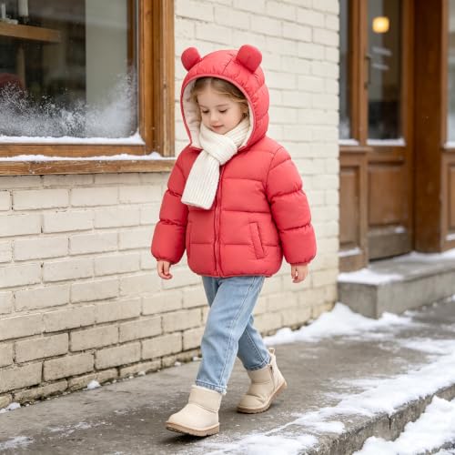 Image of BFUSTYLE Baby Toddler Coats Boys Girls Bear Ear Hooded Puffer Jackets 6M-5T
