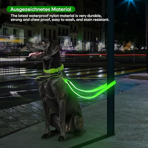ChalkLit LED Hundeleine, Beleuchtete Hundeleine über USB Wiederaufladbar, 1,2 m, Weich Wasserdicht Reflektierend, für nächtliche Spaziergänge für große, mittelgroße Haustiere blinkende