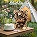 MorisMos Spotty Leap Cheetah Stuffed Animal in Gift Ready Box, Stuffed Leopard Toy for Kid Adult Birthday Gift,Cute Cheetah Plush Doll with Soft Silicone Face,Woodland Animal Plush Doll Decor for Room