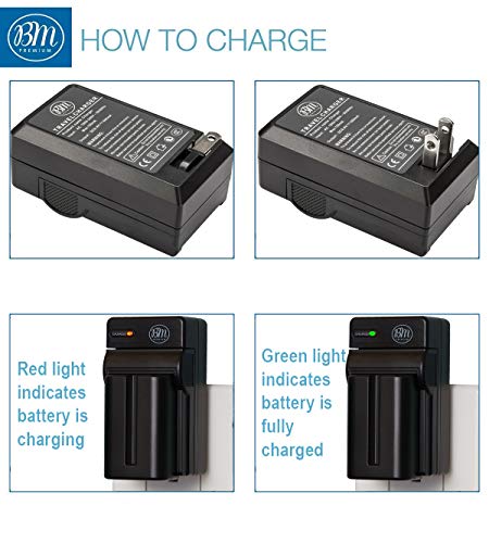 Qty-2-NP-FM500H-Batteries-and-Battery-Charger-for-Sony-Alpha-SLT-A57-SLT-A58-SLT-A65V-SLT-A77V-SLT-A99V-SLT-A100-SLT-A200-SLT-A300-SLT-A350-SLT-A450-SLT-A500-SLT-A550-SLT-A560-SLT-A580-SLT-A700-SLT-A8