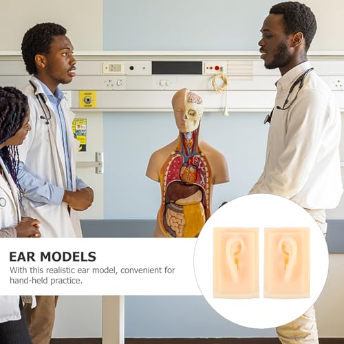 Modèle d'oreille en silicone pour l'enseignement médical et la formation pratique