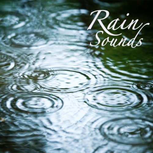 Rain Sounds Rain Sound Meditation, Relaxing Sound of Rain