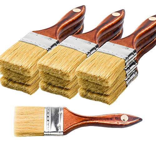 Best Brush for Varnish Paint Sprayerer